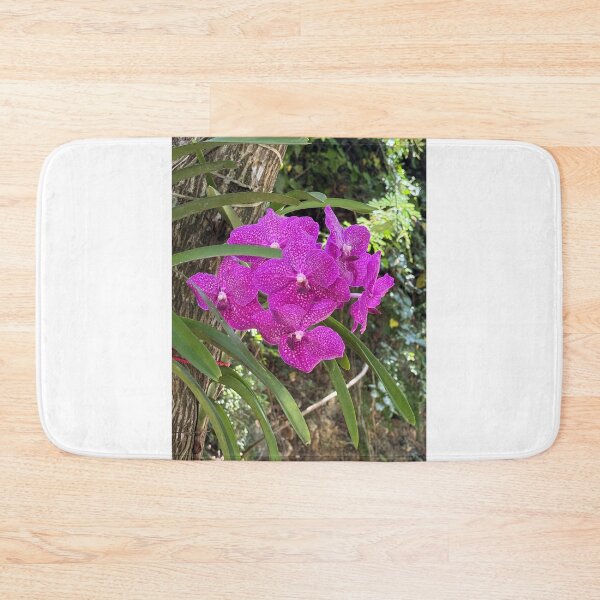 Item preview, Hot Pink in the Dominican Republic designed and sold by Mary Ann Battle.