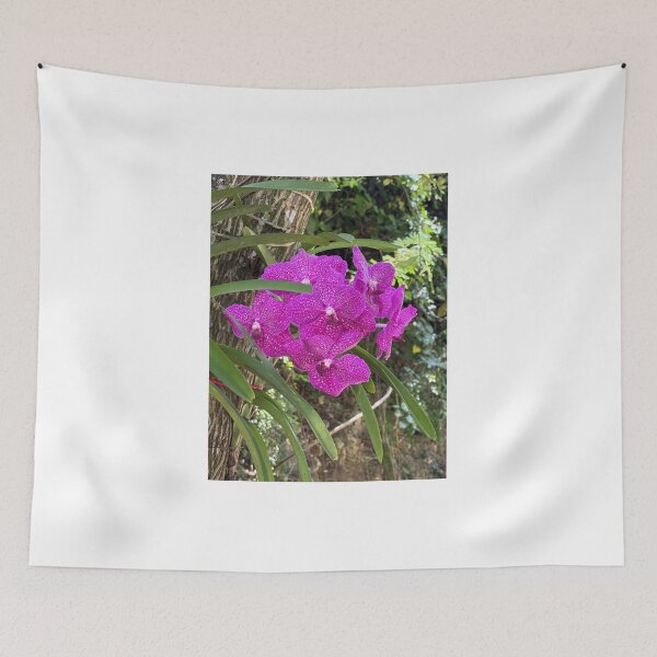 Item preview, Hot Pink in the Dominican Republic designed and sold by Mary Ann Battle.