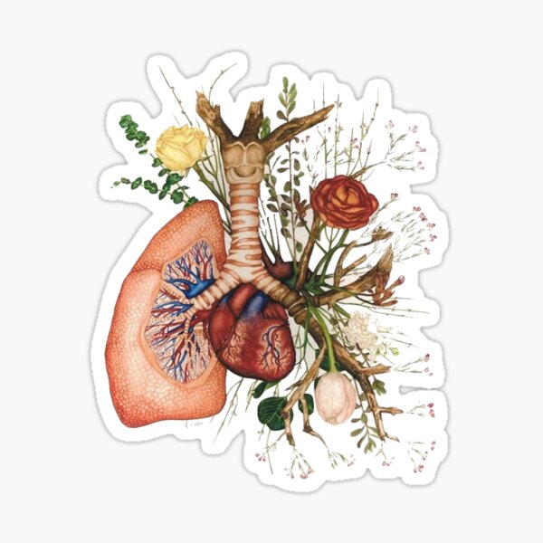 Lung poumon fleuri ♡ Sticker