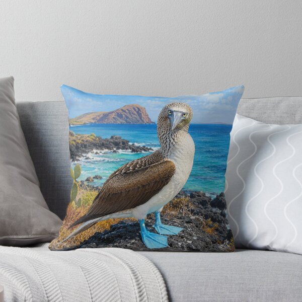 Item preview, Blue-Footed Booby on a Volcanic Coast designed and sold by Pixel Junkies Studio.