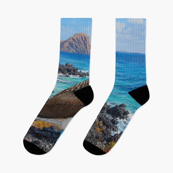 Item preview, Blue-Footed Booby on a Volcanic Coast designed and sold by Pixel Junkies Studio.