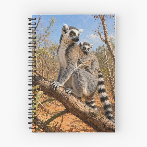 Item preview, Ring-Tailed Lemur Mother and Baby designed and sold by Pixel Junkies Studio.