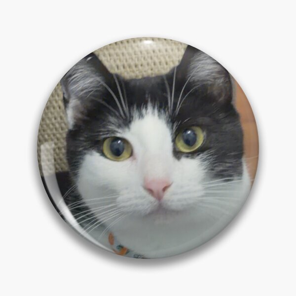 Item preview, Kimchi likes her scratch post.  designed and sold by Uraniumx92x.