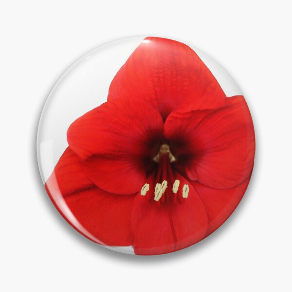 Item preview, Full Bloom designed and sold by heatherfriedman.