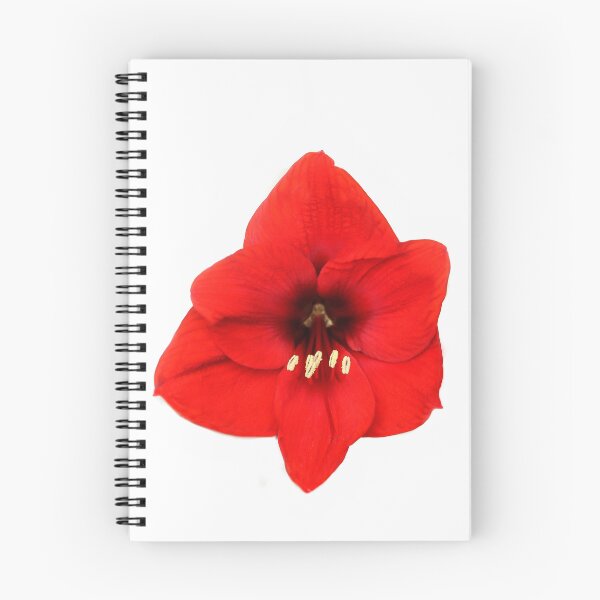 Item preview, Full Bloom designed and sold by heatherfriedman.