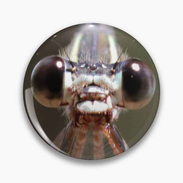 Item preview, Insects  designed and sold by Parks and X.