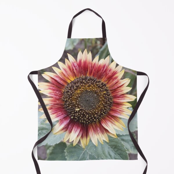 Item preview, close up bicolour sunflower designed and sold by alan tunnicliffe.