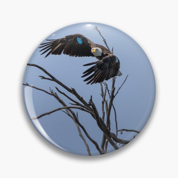 Item preview, Bald Eagle 85 Taking Flight designed and sold by PsychoAlien.com.