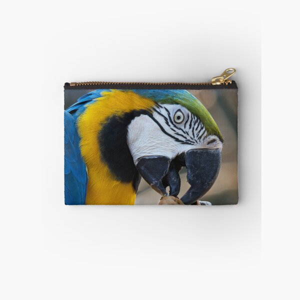 Item preview, blue and yellow macaw feeding designed and sold by alan tunnicliffe.