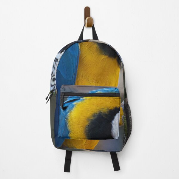 Item preview, blue and yellow macaw feeding designed and sold by alan tunnicliffe.