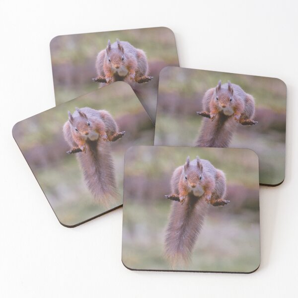 Item preview, Red squirrel in mid flight leaping designed and sold by alan tunnicliffe.