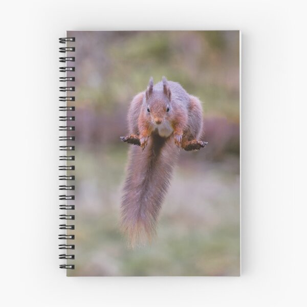 Item preview, Red squirrel in mid flight leaping designed and sold by alan tunnicliffe.