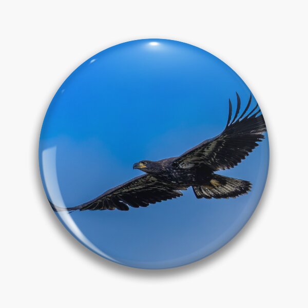 Item preview, Juvenile Bald Eagle's First Flight designed and sold by PsychoAlien.com.