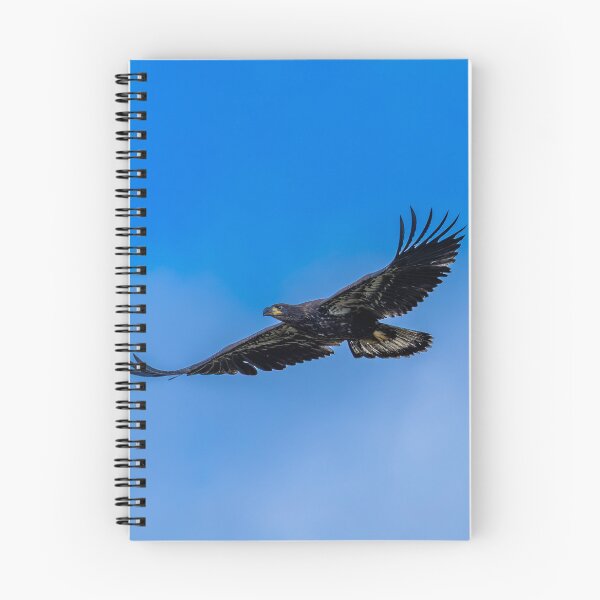 Item preview, Juvenile Bald Eagle's First Flight designed and sold by PsychoAlien.com.