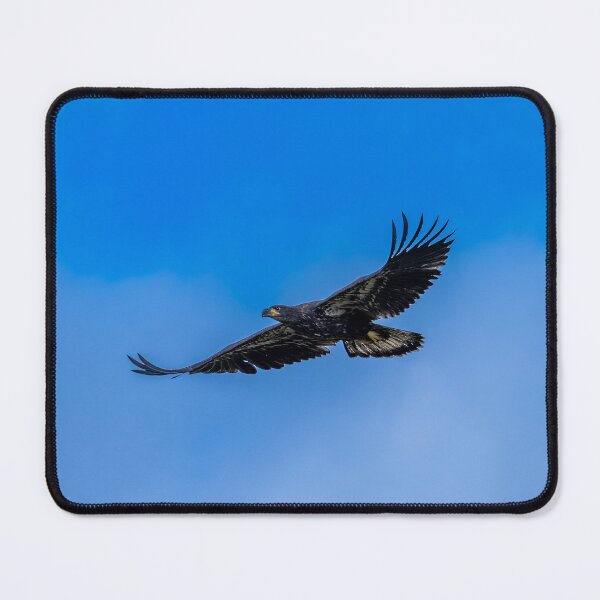Item preview, Juvenile Bald Eagle's First Flight designed and sold by PsychoAlien.com.