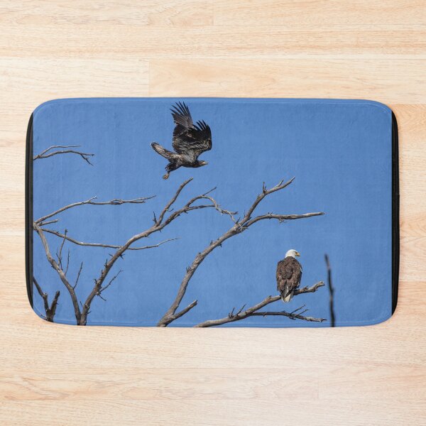 Item preview, Juvenile Bald Eagle's First Battle or Playtime designed and sold by PsychoAlien.com.