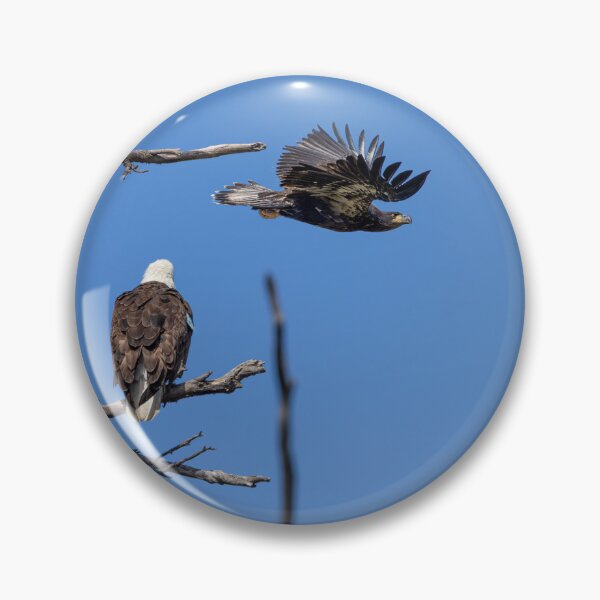 Item preview, Juvenile Bald Eagle Watch This Dad designed and sold by PsychoAlien.com.
