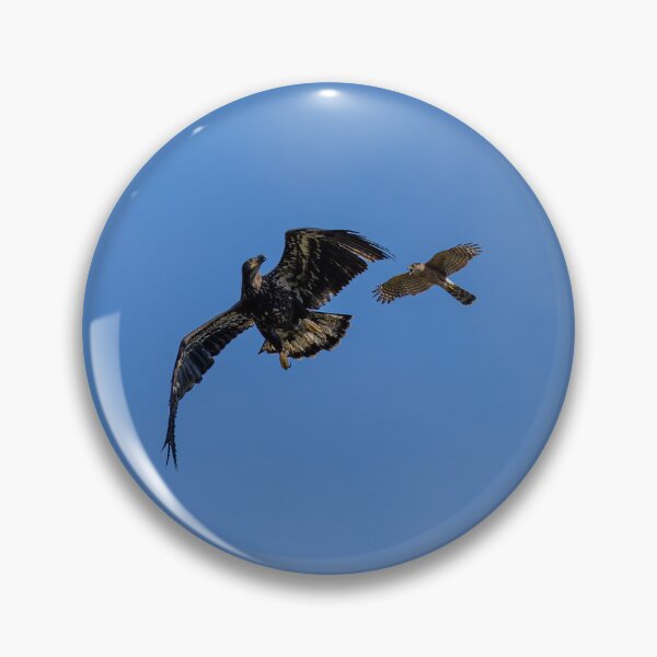 Item preview, Juvenile Bald Eagle's First Battle designed and sold by PsychoAlien.com.