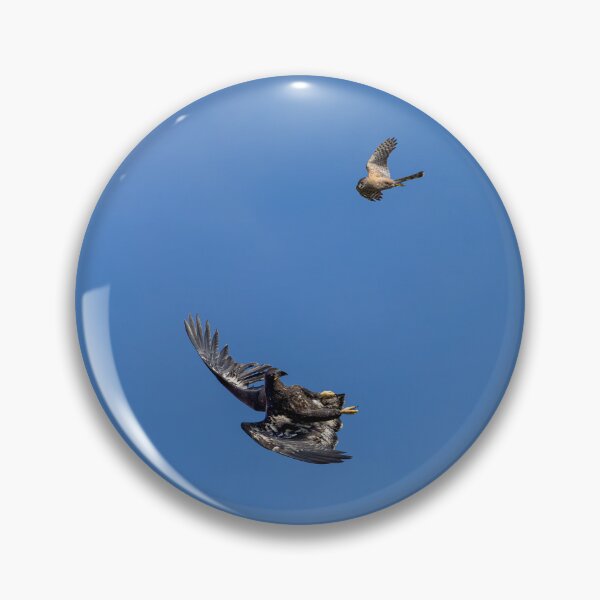 Item preview, Juvenile Bald Eagle's First Play Date designed and sold by PsychoAlien.com.