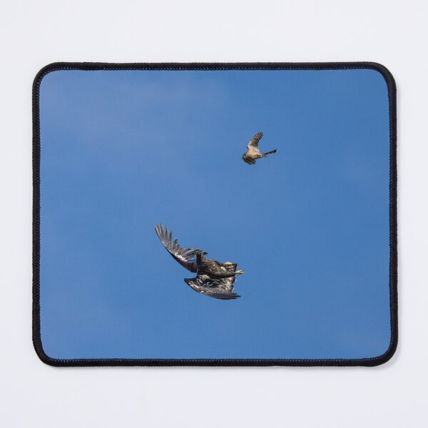 Item preview, Juvenile Bald Eagle's First Play Date designed and sold by PsychoAlien.com.