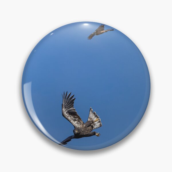 Item preview, Juvenile Bald Eagle's First Friend designed and sold by PsychoAlien.com.