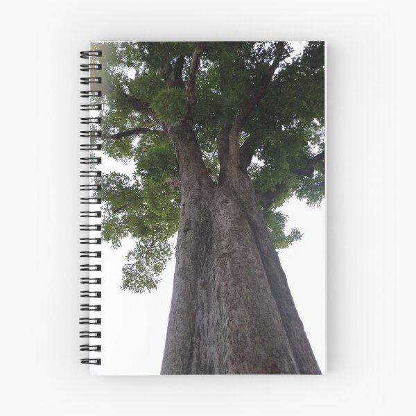 Item preview, Majestic Giant Tree and Green Canopy Main Tag designed and sold by Ployphaiphai .