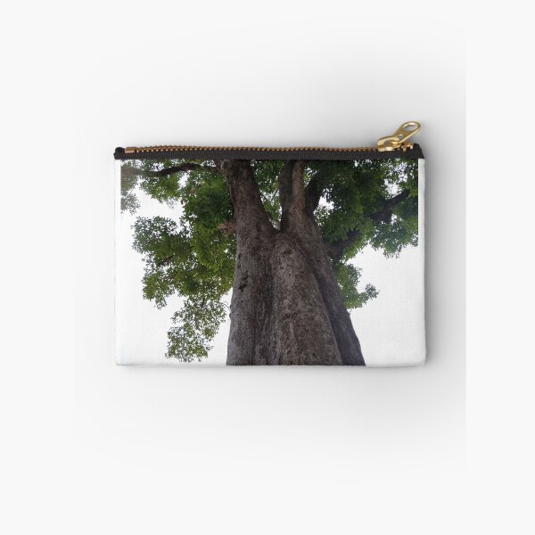 Item preview, Majestic Giant Tree and Green Canopy Main Tag designed and sold by Ployphaiphai .