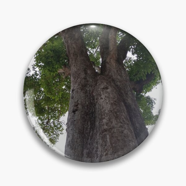 Item preview, Majestic Giant Tree and Green Canopy Main Tag designed and sold by Ployphaiphai .