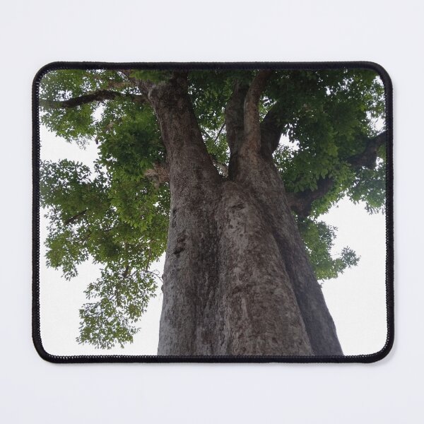 Item preview, Majestic Giant Tree and Green Canopy Main Tag designed and sold by Ployphaiphai .