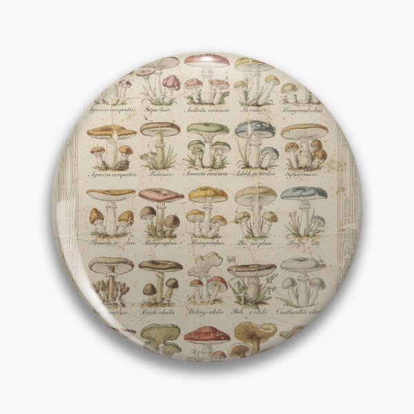 Item preview, Vintage Mushroom Identification Chart Print designed and sold by PictorialWhimsy.