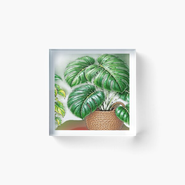 Item preview, Monstera Plant designed and sold by Julie Leisure Gardening.