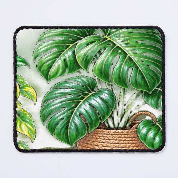 Item preview, Monstera Plant designed and sold by Julie Leisure Gardening.