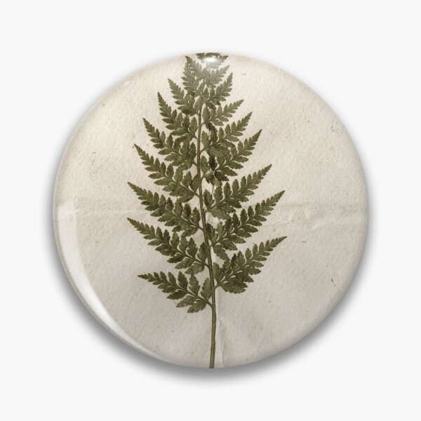 Item preview, Antique Pressed Fern Herbarium Print designed and sold by PictorialWhimsy.