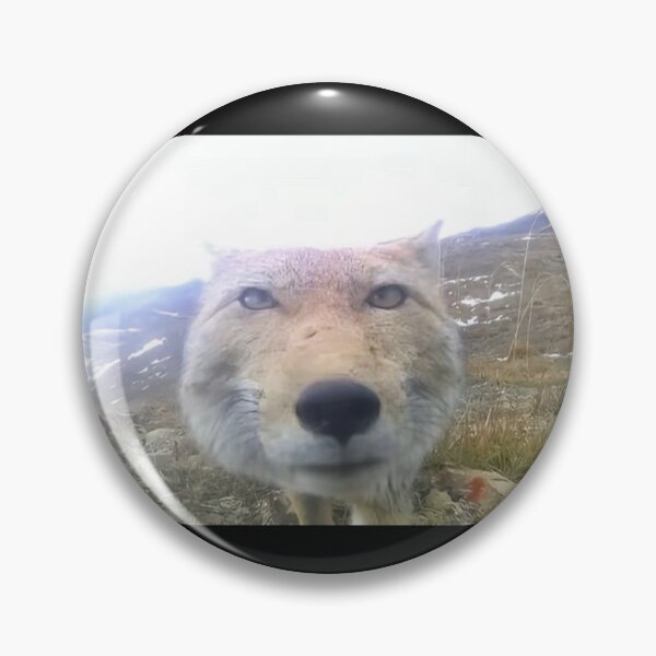 Item preview, fox trail cam cute designed and sold by trixieandkatya_again.