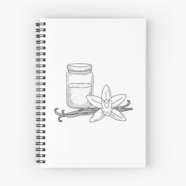 Item preview, Doodle illustration of a vanilla flower next to a jar of sugar designed and sold by rasagamastore.