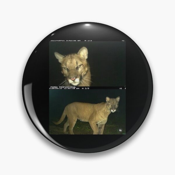 Item preview, diva mountain lion designed and sold by trixieandkatya_again.