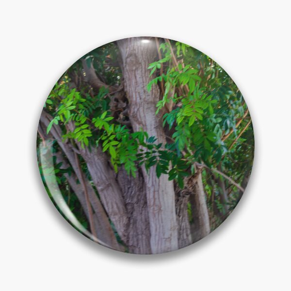 Item preview, Close-Up View of Tree Trunk and Lush Green Leaves in Dense Woodland Setting designed and sold by Nmallia.