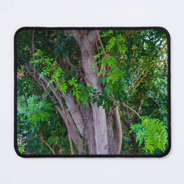 Item preview, Close-Up View of Tree Trunk and Lush Green Leaves in Dense Woodland Setting designed and sold by Nmallia.