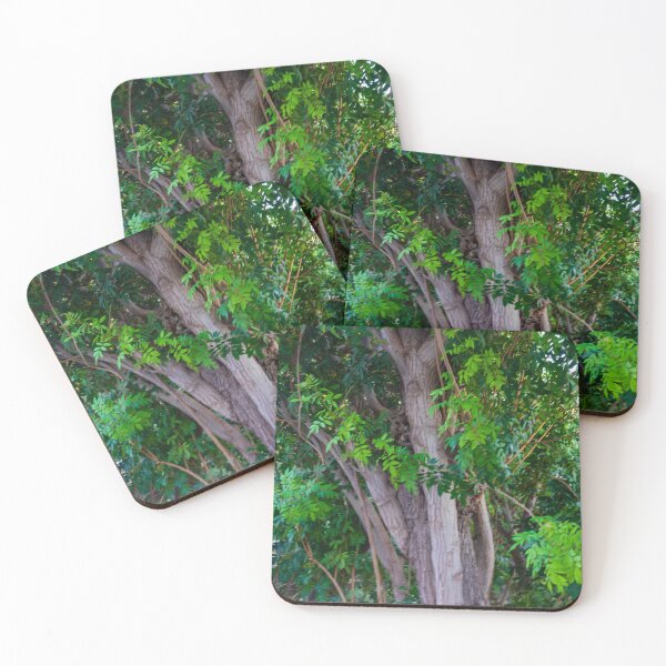 Item preview, Close-Up View of Tree Trunk and Lush Green Leaves in Dense Woodland Setting designed and sold by Nmallia.
