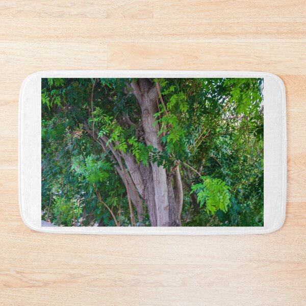 Item preview, Close-Up View of Tree Trunk and Lush Green Leaves in Dense Woodland Setting designed and sold by Nmallia.
