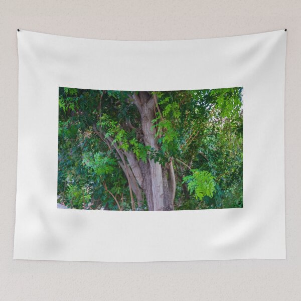 Item preview, Close-Up View of Tree Trunk and Lush Green Leaves in Dense Woodland Setting designed and sold by Nmallia.