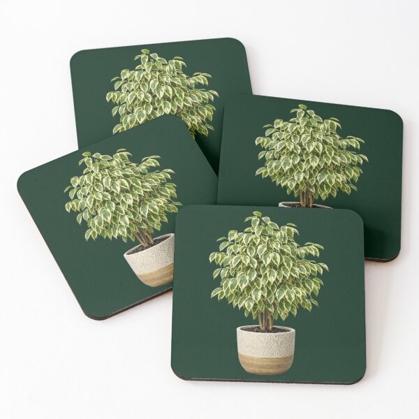 Item preview, Variegated Ficus Benjamina designed and sold by Agnisherl.