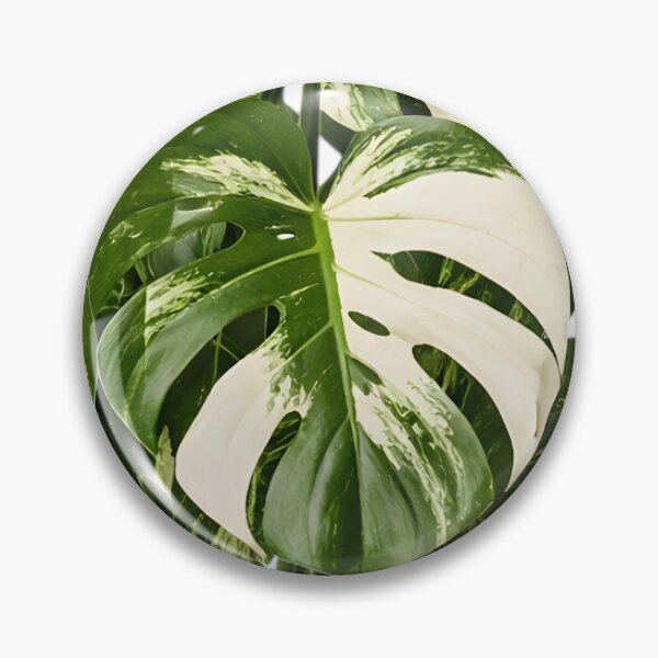 Item preview, Variegated Monstera Plant designed and sold by Agnisherl.