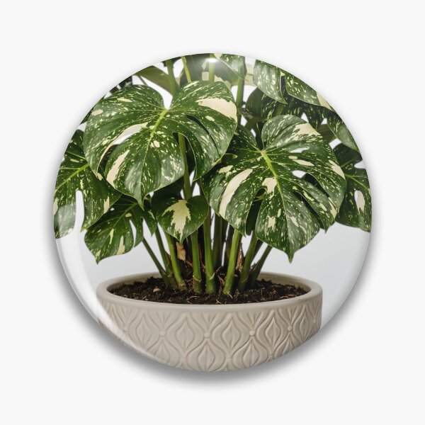Item preview, Variegated Monstera Plant designed and sold by Agnisherl.