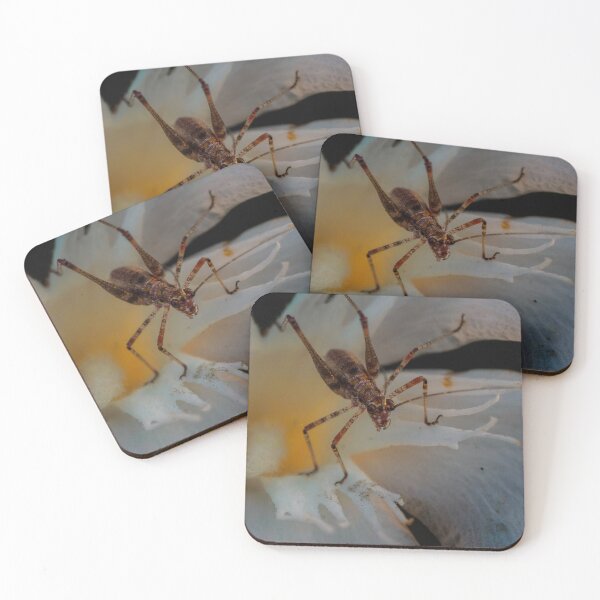 Item preview, Nymph Bush Cricket designed and sold by Ralph Goldsmith.
