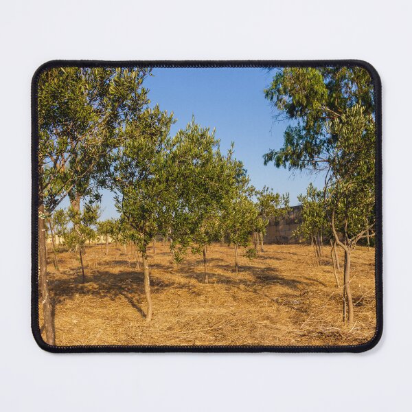 Item preview, Young Olive Orchard On Dry Mediterranean Hillside With Blue Sky And Golden Sunlight designed and sold by Nmallia.