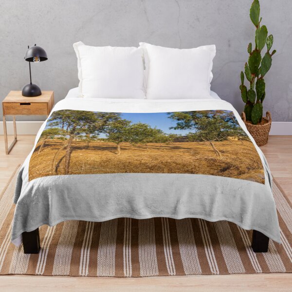 Item preview, Young Olive Orchard On Dry Mediterranean Hillside With Blue Sky And Golden Sunlight designed and sold by Nmallia.