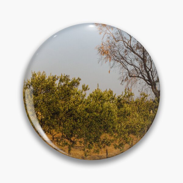 Item preview, Young Olive Orchard On Dry Mediterranean Hillside With Blue Sky And Golden Sunlight designed and sold by Nmallia.