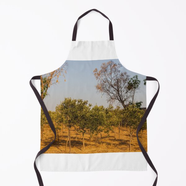 Item preview, Young Olive Orchard On Dry Mediterranean Hillside With Blue Sky And Golden Sunlight designed and sold by Nmallia.