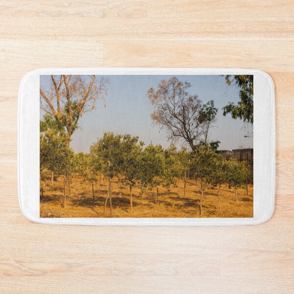 Item preview, Young Olive Orchard On Dry Mediterranean Hillside With Blue Sky And Golden Sunlight designed and sold by Nmallia.